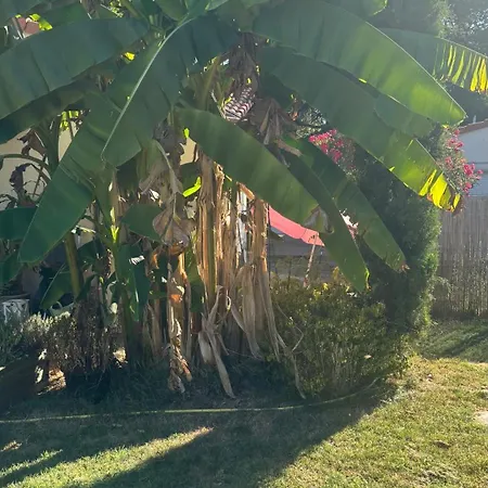 Casa de Férias Jolie Petite Maison *